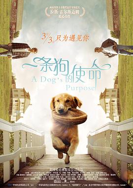 恋人们的爱
