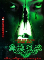 张丽evelynlin